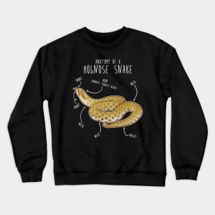 Lemon Hypo Ghost Hognose Snake Anatomy Crewneck Sweatshirt